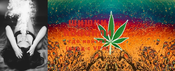 MESCALINE Аркадак