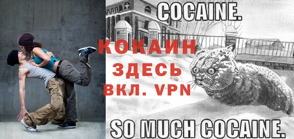 бошки Арсеньев
