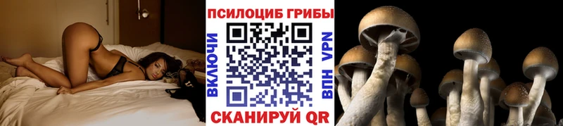 ссылка на мегу зеркало цена Балашов Псилоцибиновые грибы ЛСД